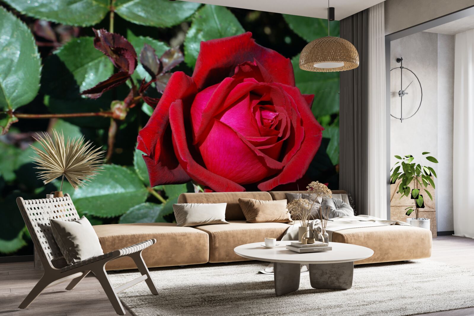 Фотошпалери в саду зацвіла червона троянда