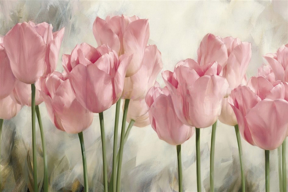 Фотошпалери ніжні рожеві тюльпани
