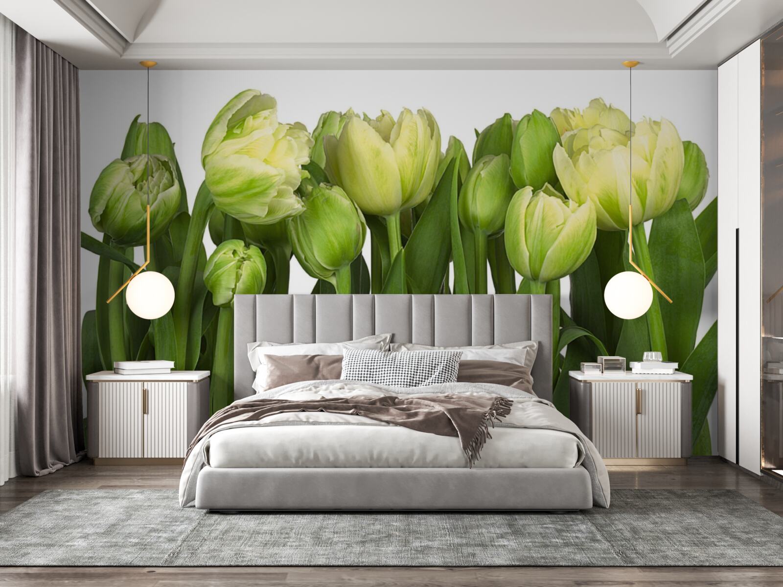 Фотошпалери Набір частково відкритих світлих тюльпанів