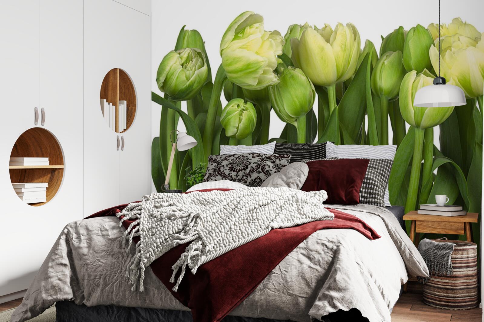 Фотошпалери Набір частково відкритих світлих тюльпанів