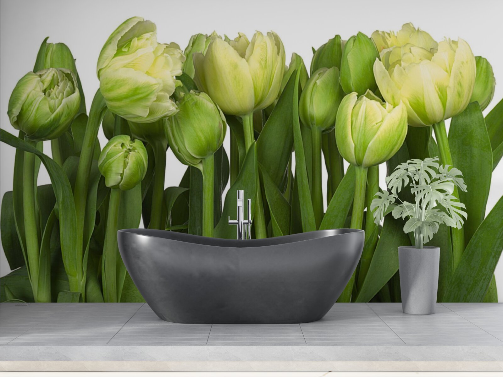 Фотошпалери Набір частково відкритих світлих тюльпанів