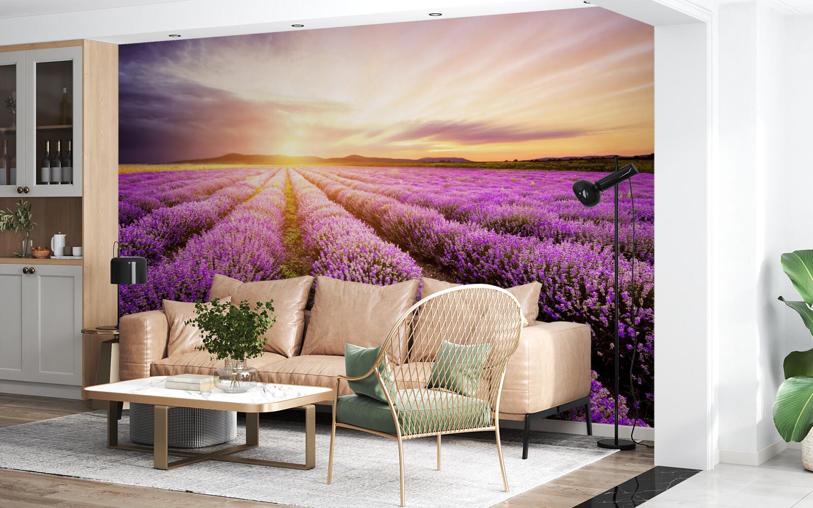 Фотошпалери захід сонця над полем лаванди