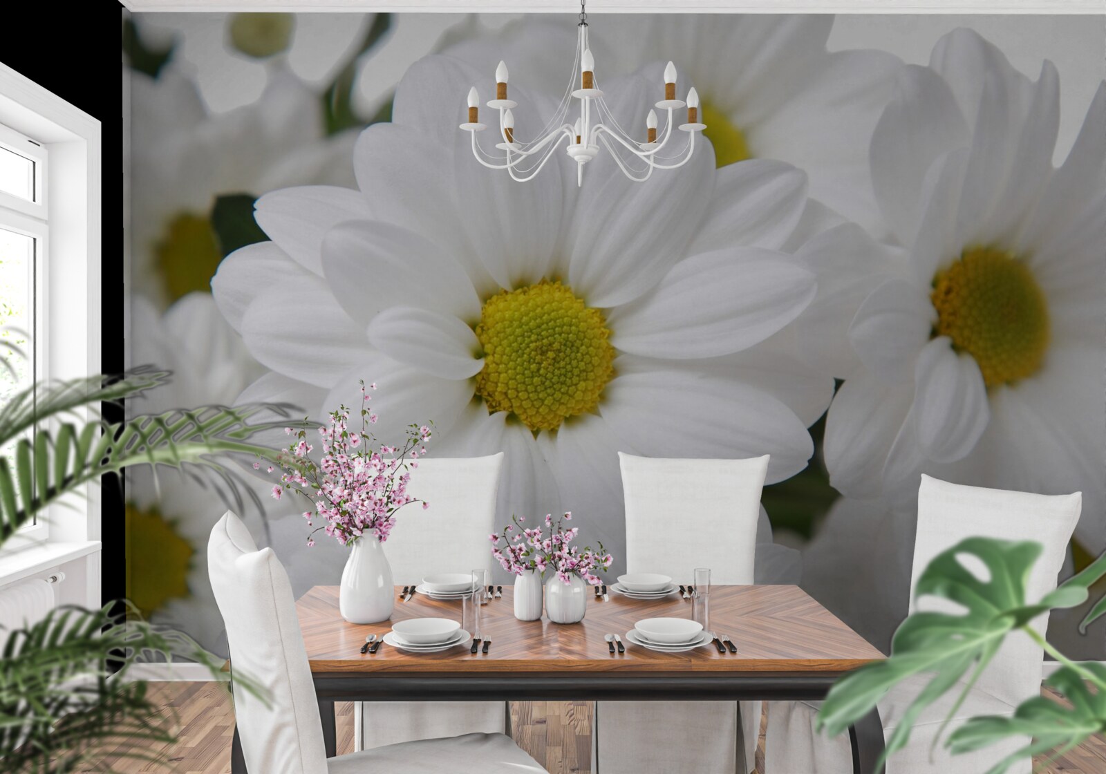 Фотошпалери композиція з білосніжних хризантем