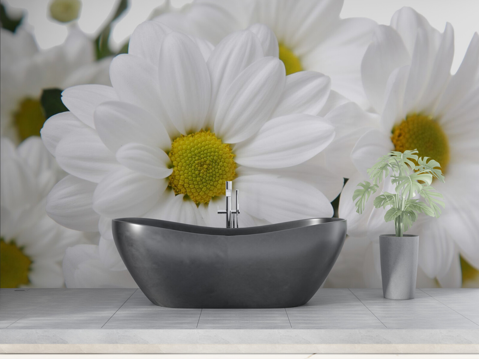 Фотошпалери композиція з білосніжних хризантем