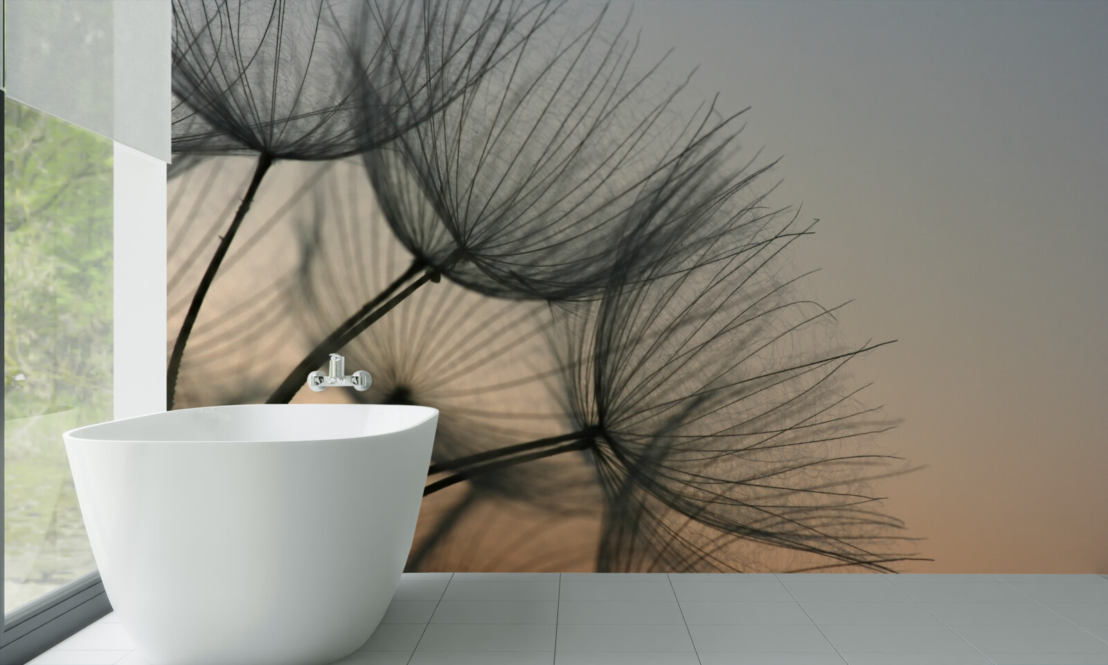 Фотошпалери захід сонця над кульбабами