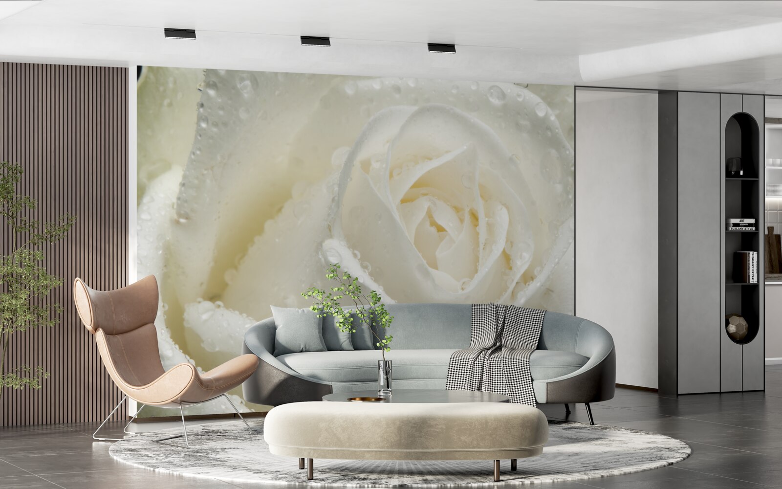 Фотошпалери біла троянда, вкрита ранковою росою