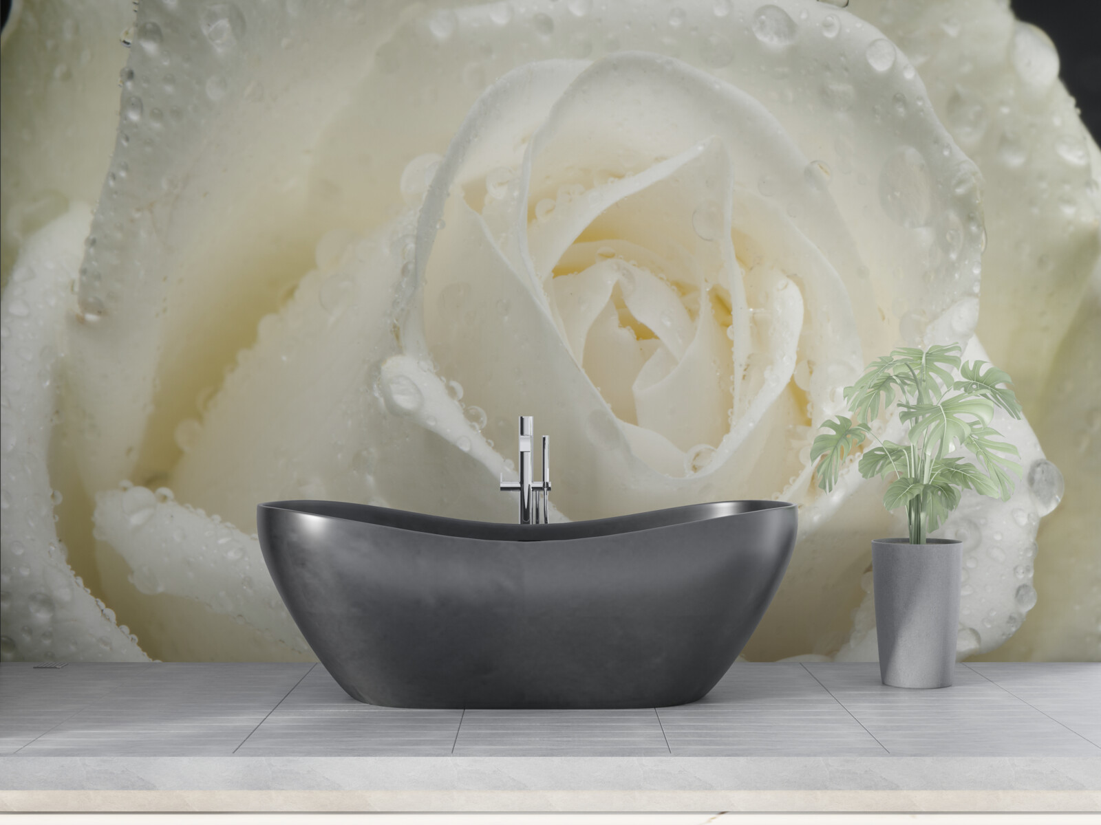 Фотошпалери біла троянда, вкрита ранковою росою