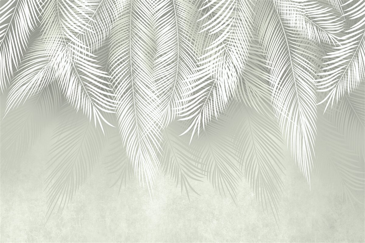 Фотошпалери білосніжне пальмове листя, ніжне і м'яке