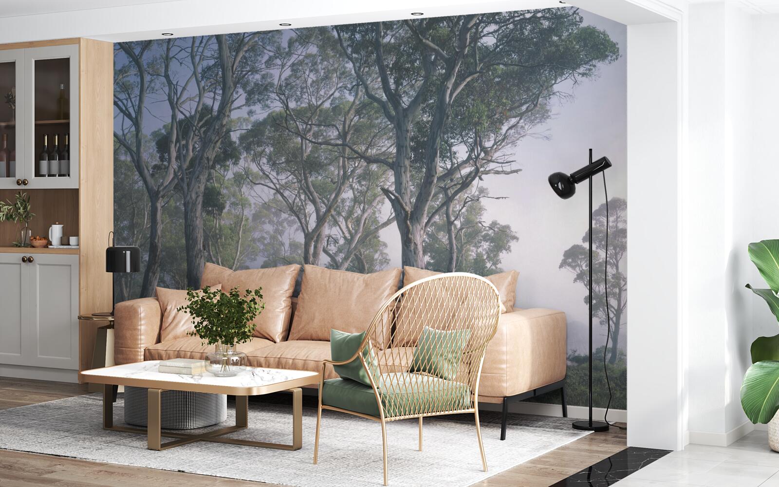 Фотошпалери ранок прокидається в туманному лісі