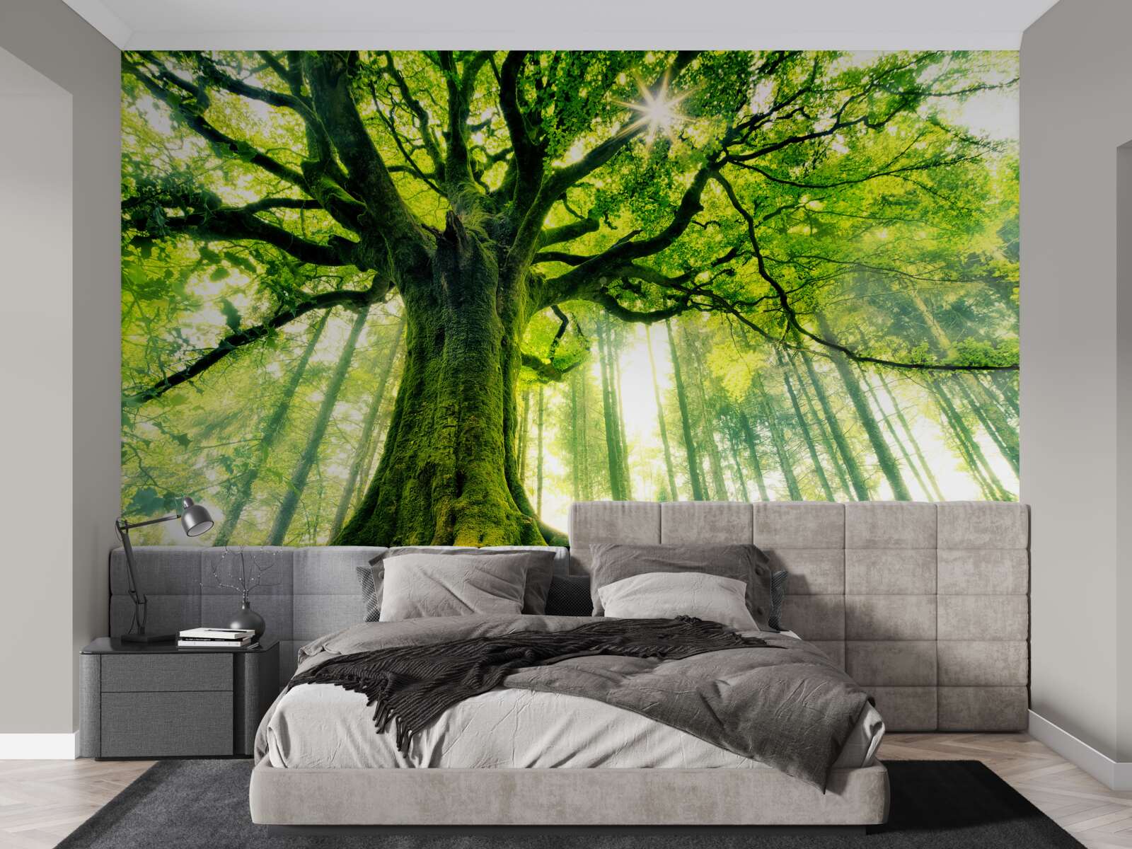 Фотошпалери величне дерево буття зустрічає схід сонця