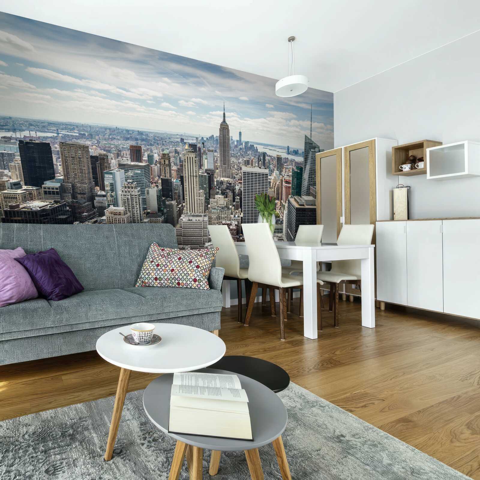 Фотошпалери щоденний панорамний вид