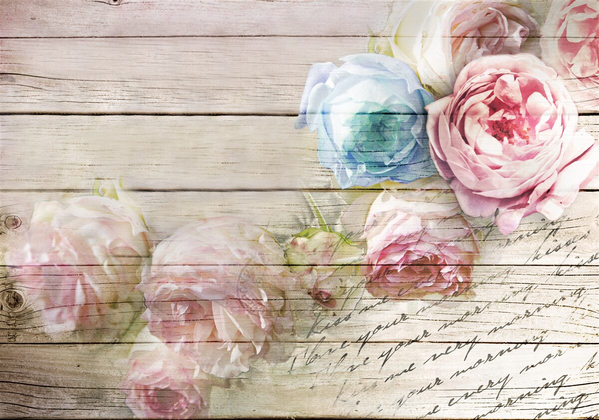 Фотошпалери набір троянд, схожих на півонії