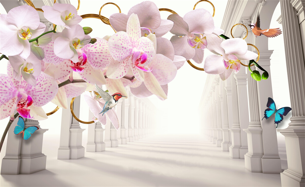 Фотошпалери білі арки прикрашені орхідеями та метеликами