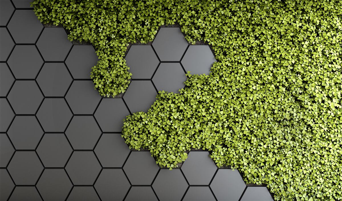 Фотошпалери кам'яна кладка вкрита зеленим мохом