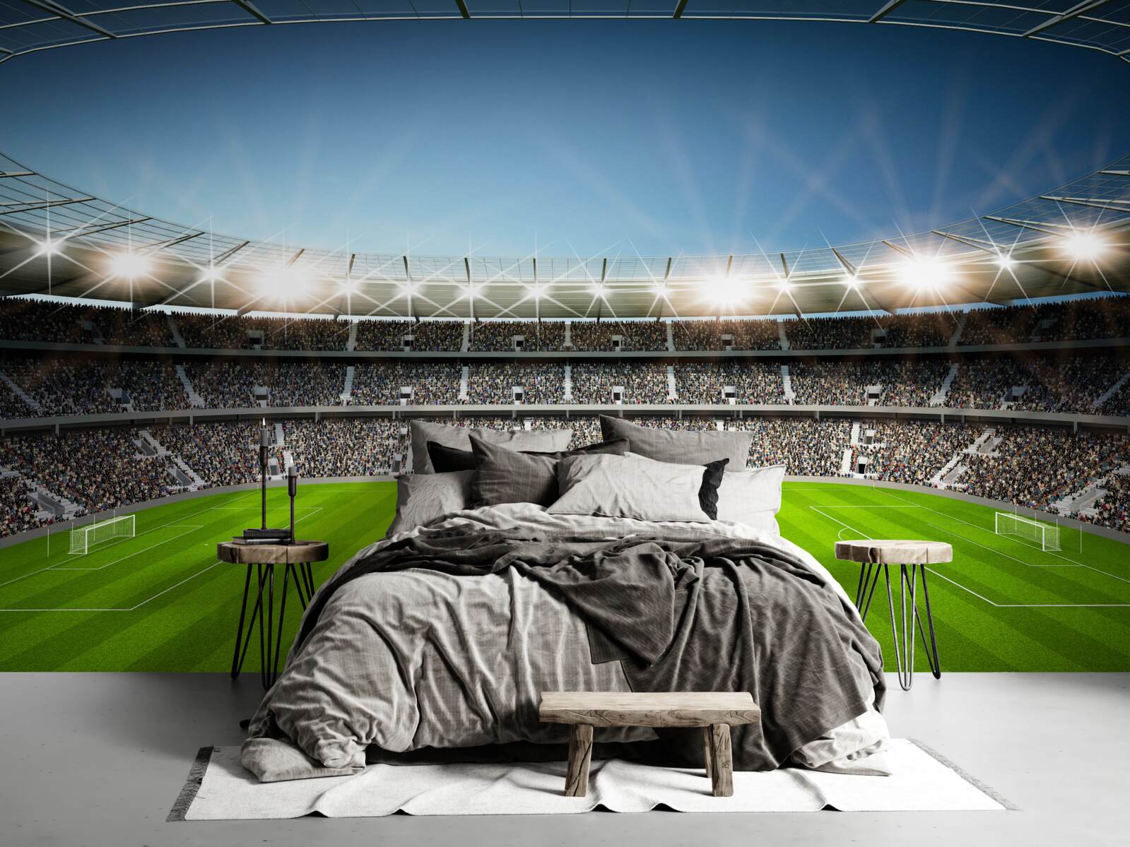 Фотошпалери фан-стадіон