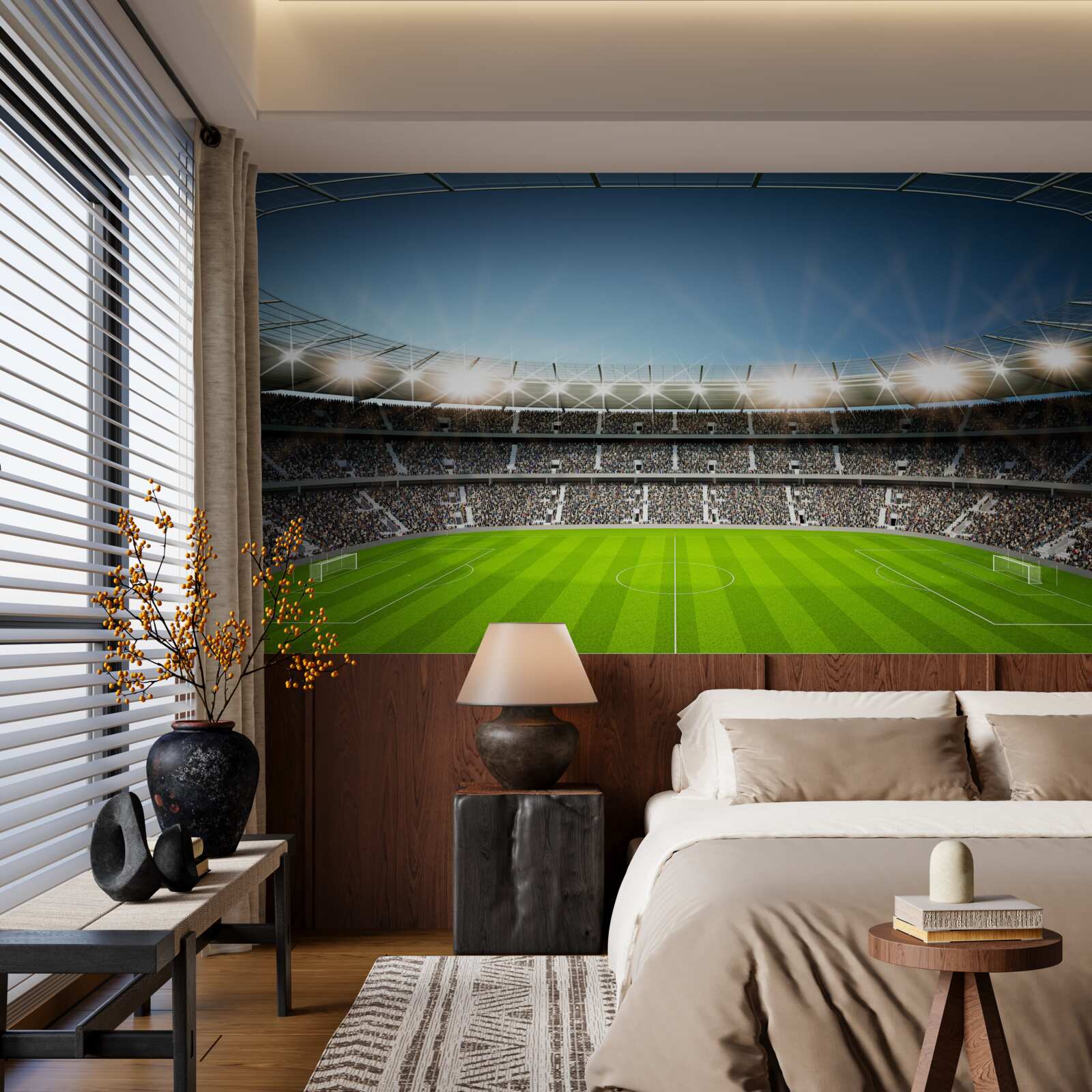 Фотошпалери фан-стадіон