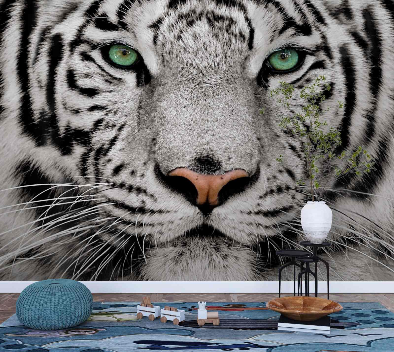 Фотошпалери зображення білого тигра