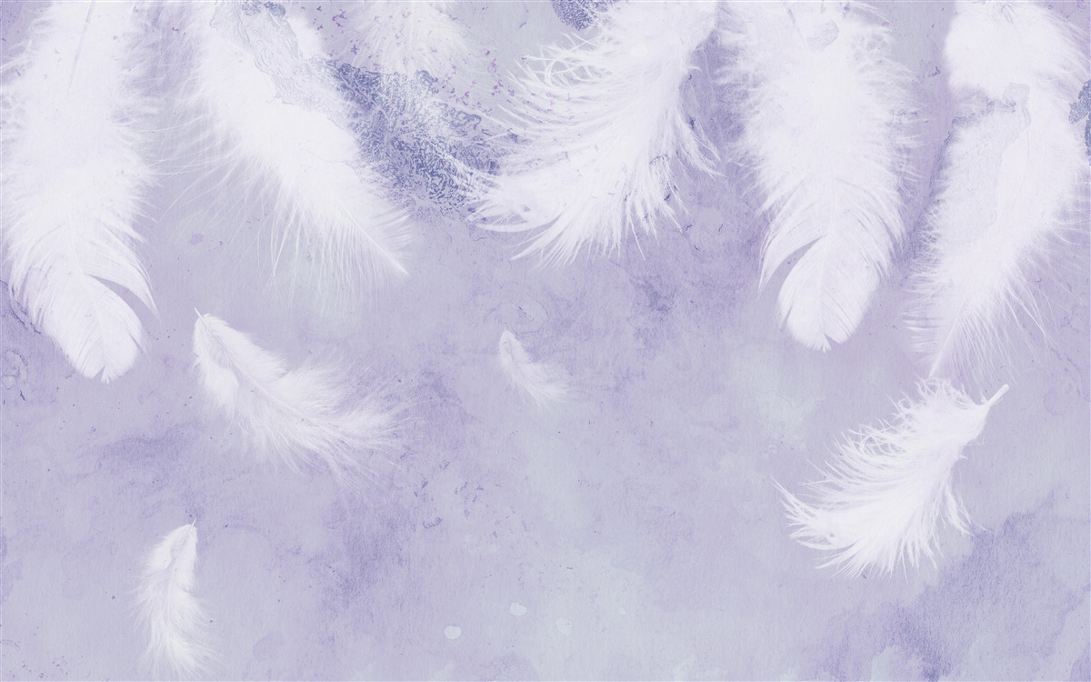 Фотошпалери плаваюче біле пір'я