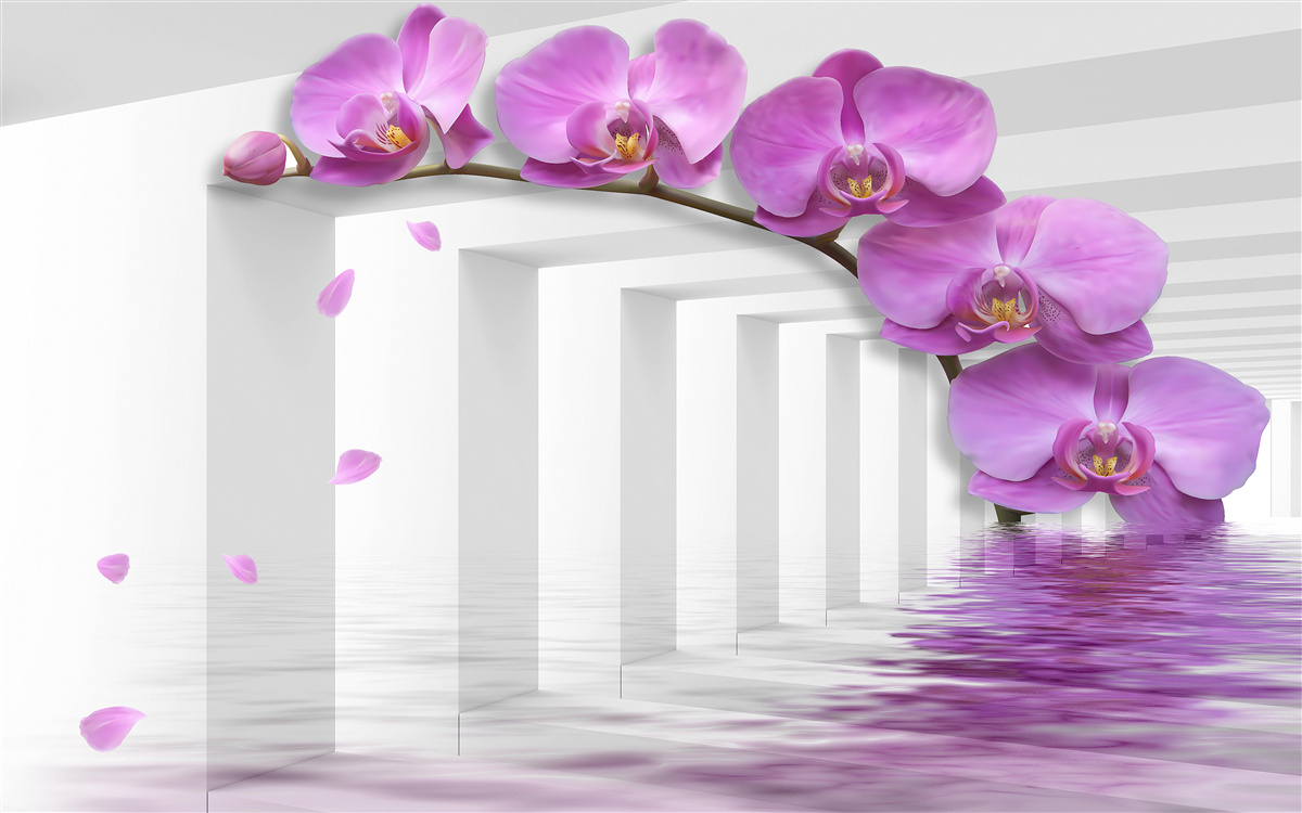 Фотошпалери бузкова орхідея на гілці в оточенні білих арок