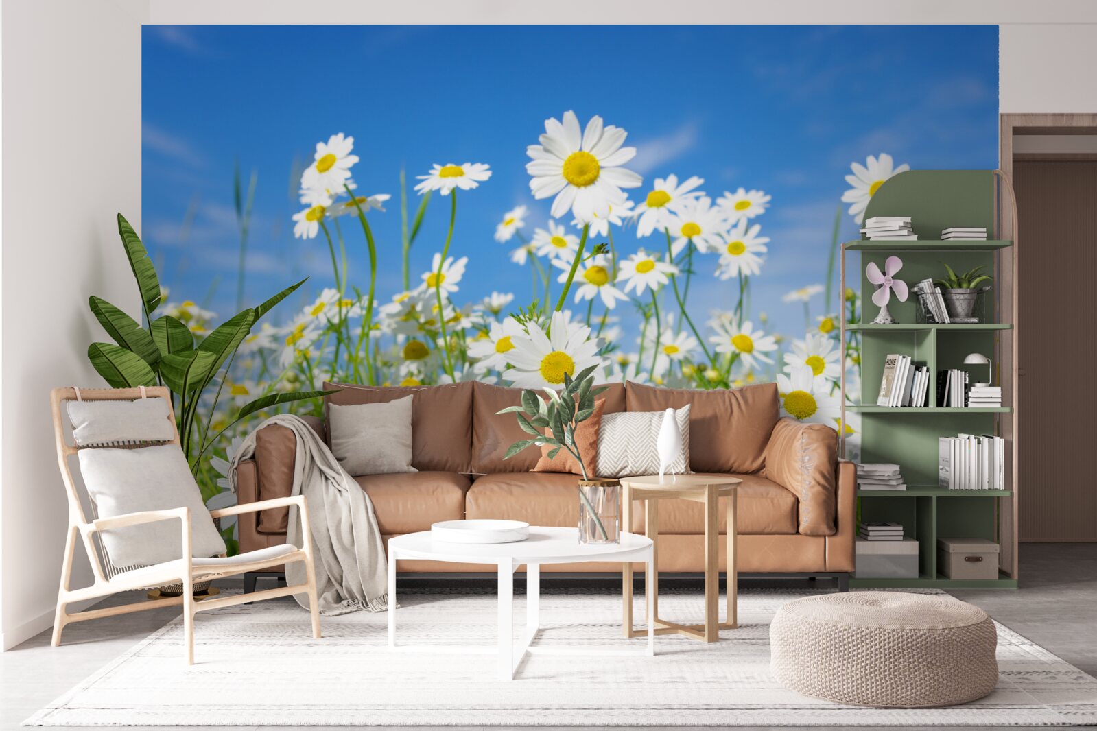 Фотошпалери ромашка на лузі в літній день