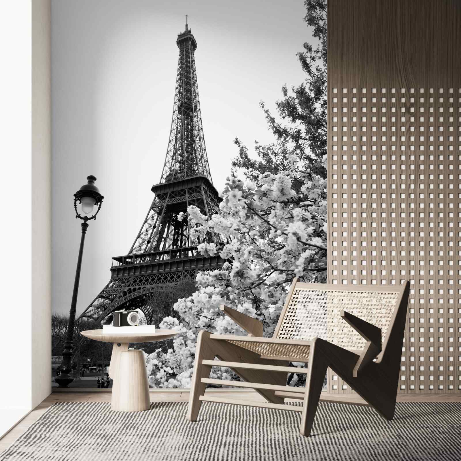 Фотошпалери Ейфелева вежа в чорно-білому кольорі