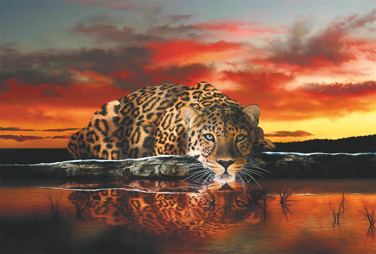 Фотошпалери леопардовий принт на тлі заходу сонця