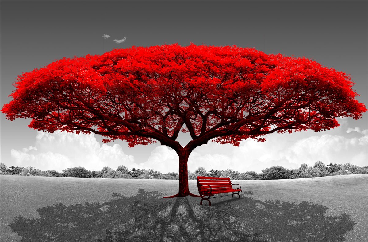 Фотошпалери Життя - це червоне дерево на сірій галявині