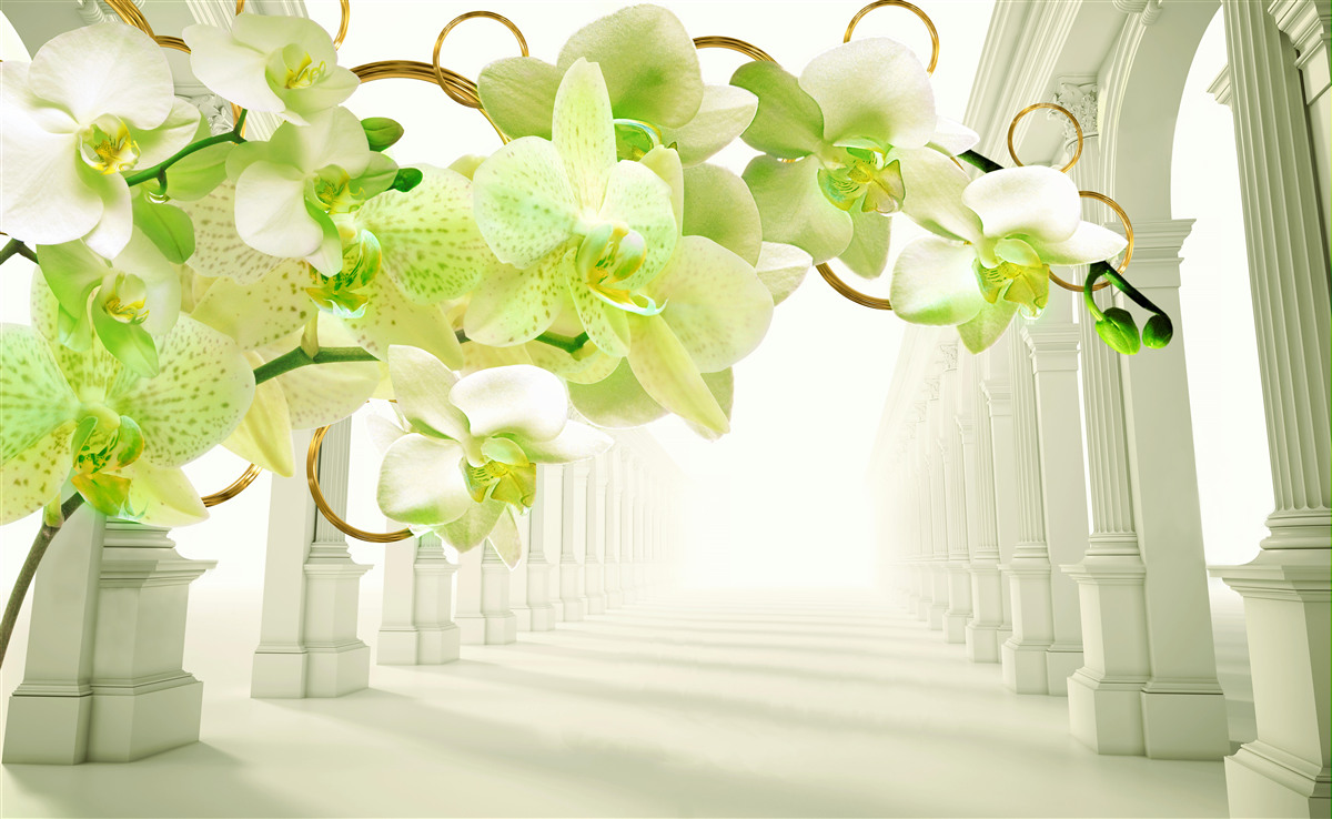 Фотошпалери біло-зелена орхідея на тлі білих колон
