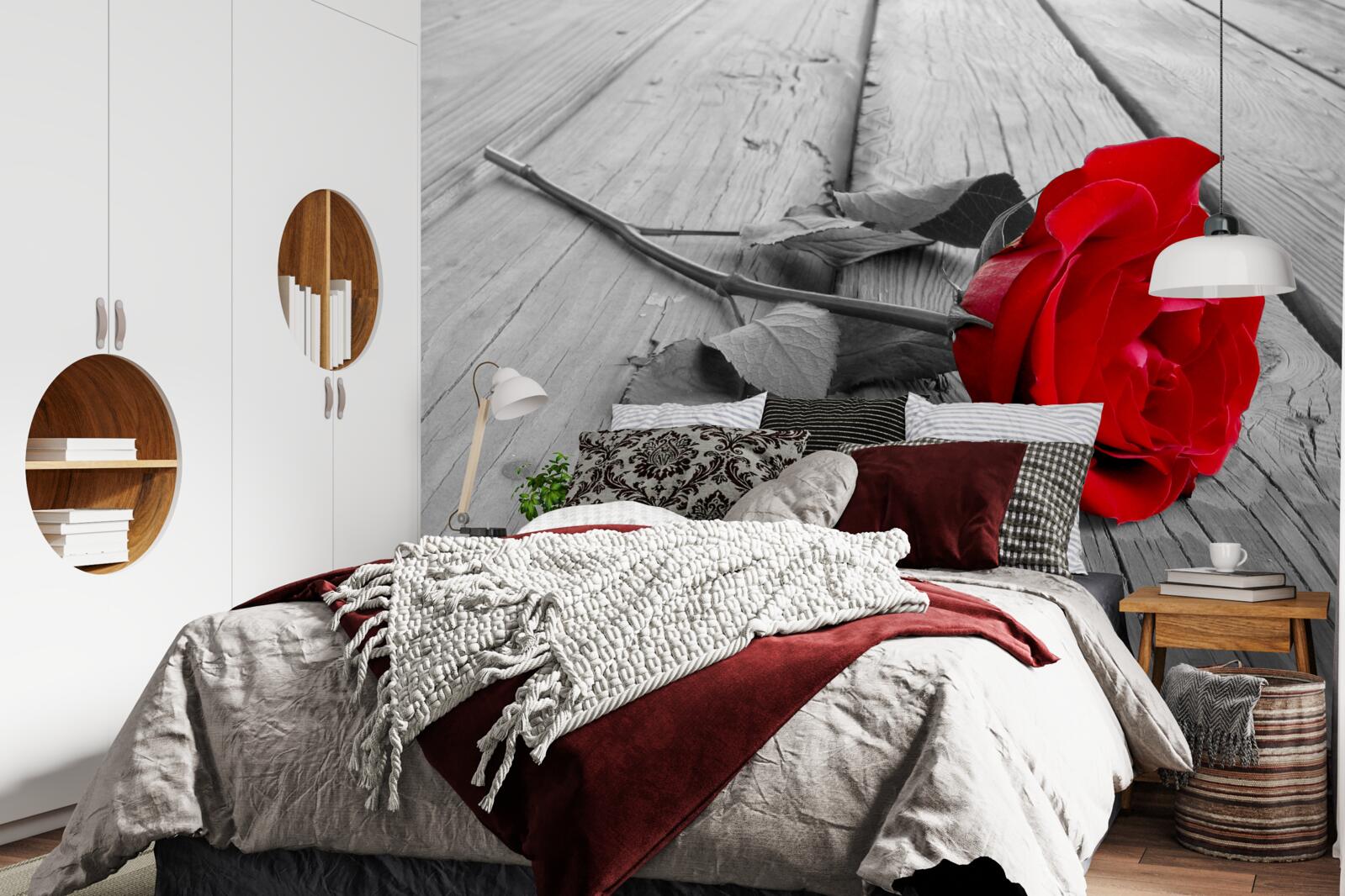 Фотошпалери на сірому тлі розквітла червона троянда