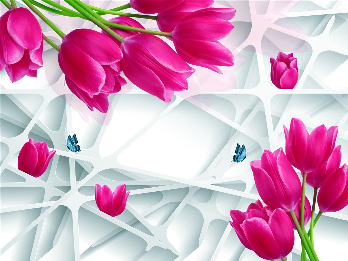 Фотошпалери чудові бутони рожевих тюльпанів