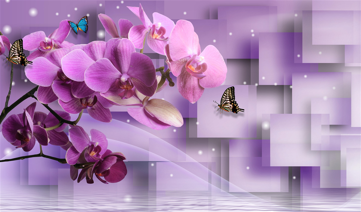 Фотошпалери композиція з тонких орхідей і метеликів