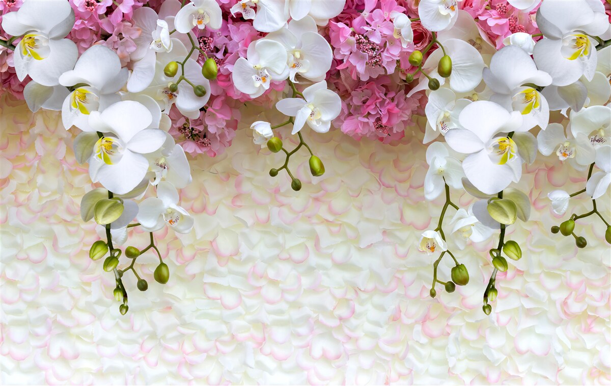 Фотошпалери гілки різних орхідей спускаються вниз