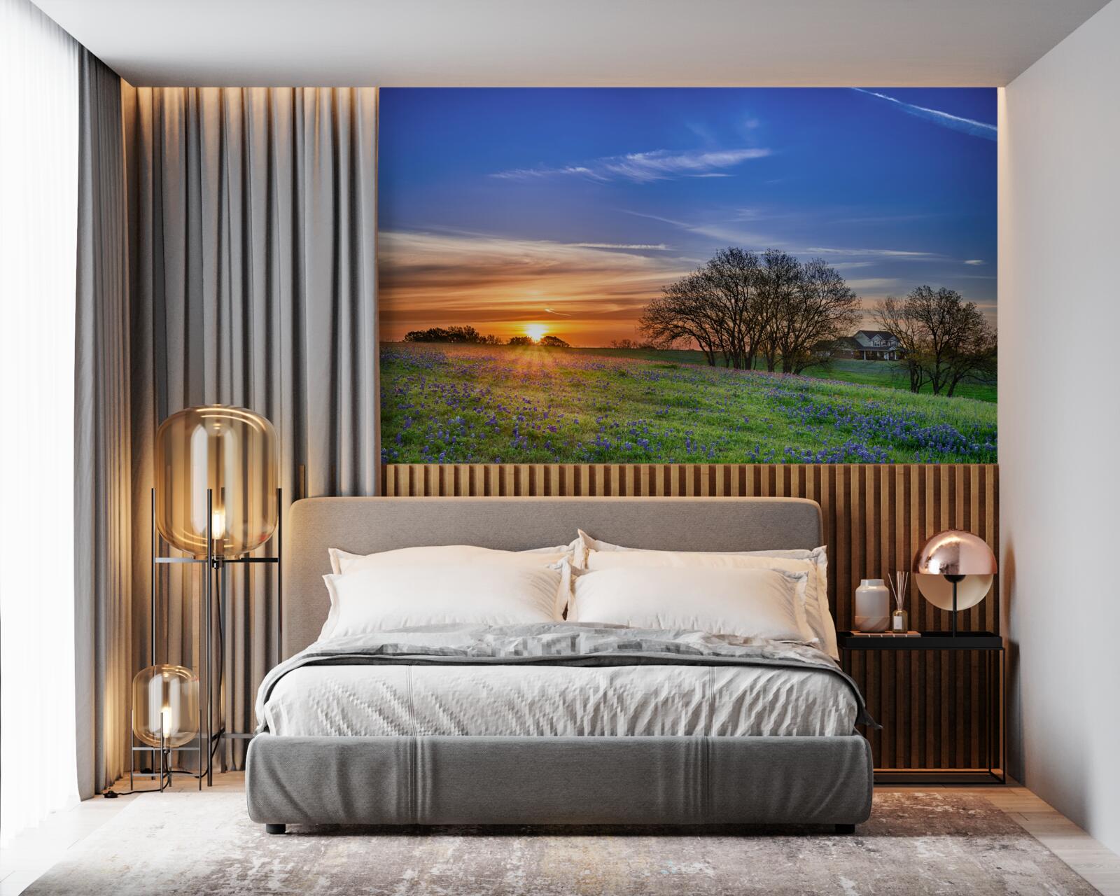 Фотошпалери сонце сідає над полем, засіяним квітами