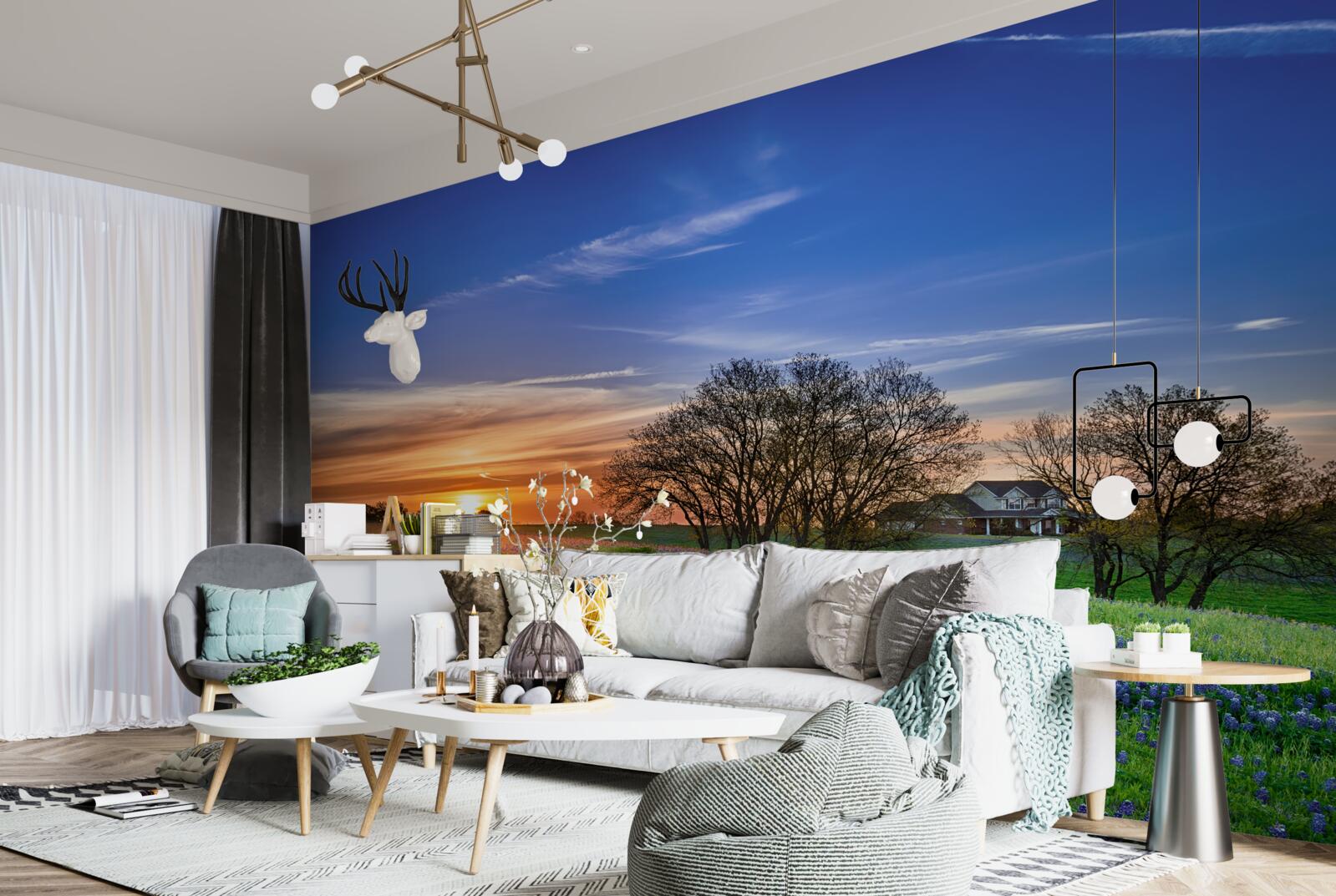 Фотошпалери сонце сідає над полем, засіяним квітами