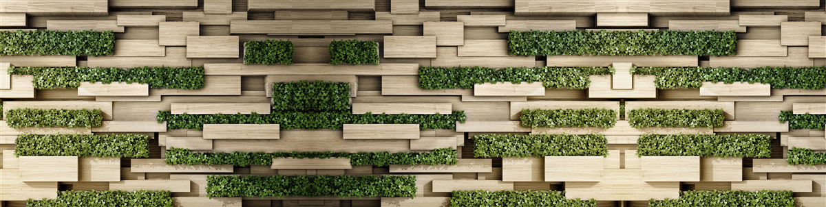 Фотошпалери зелені рослини на кам'яній стіні