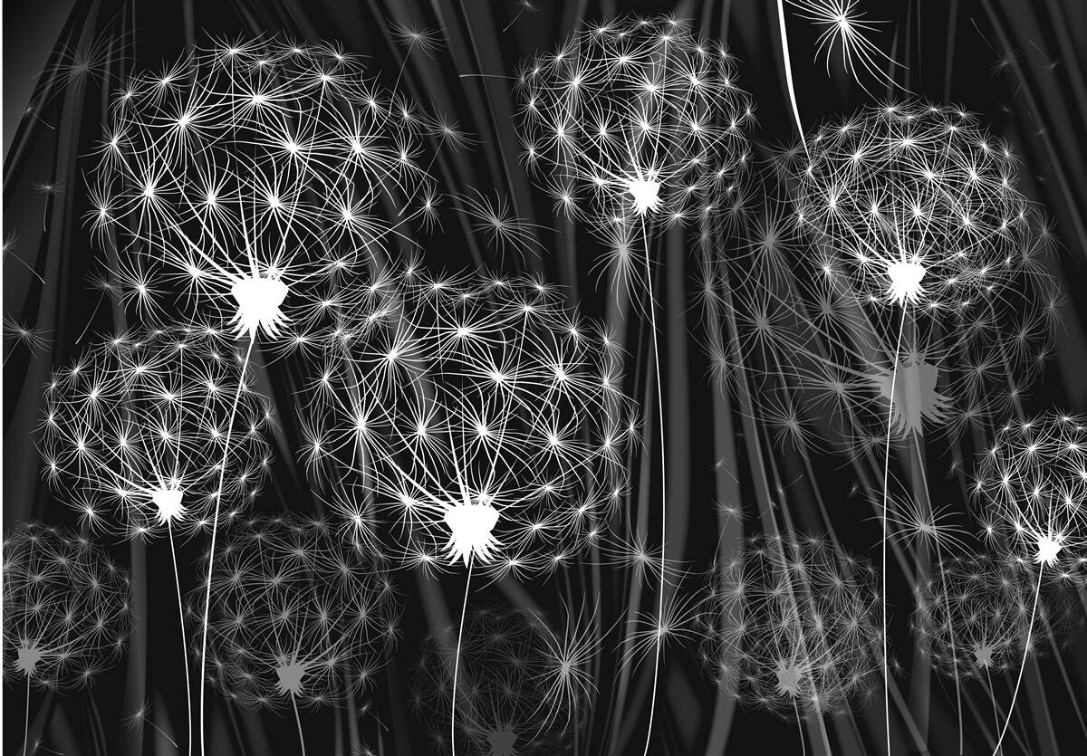 Фотошпалери яскраво-білі косулі