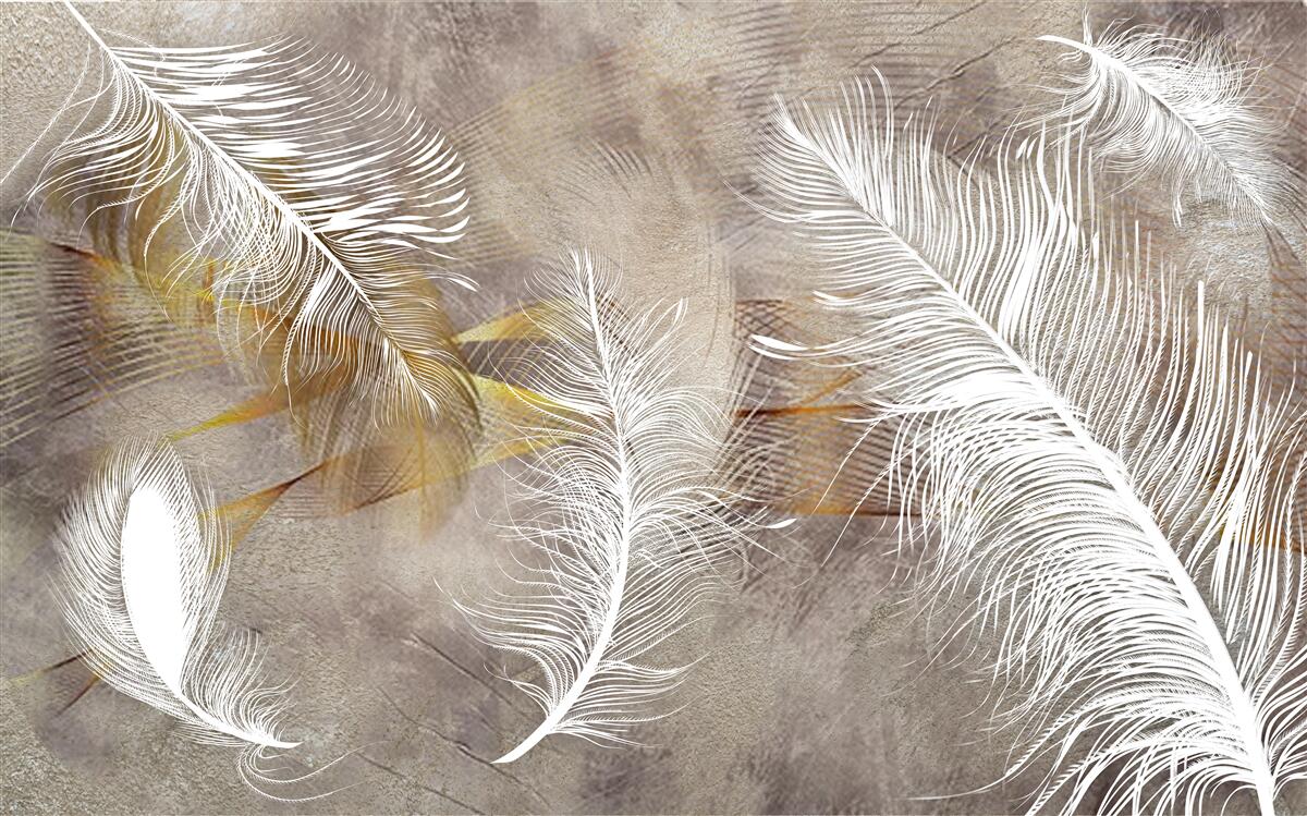 Фотошпалери декоративне пір'я, що натякає на легкість повітря