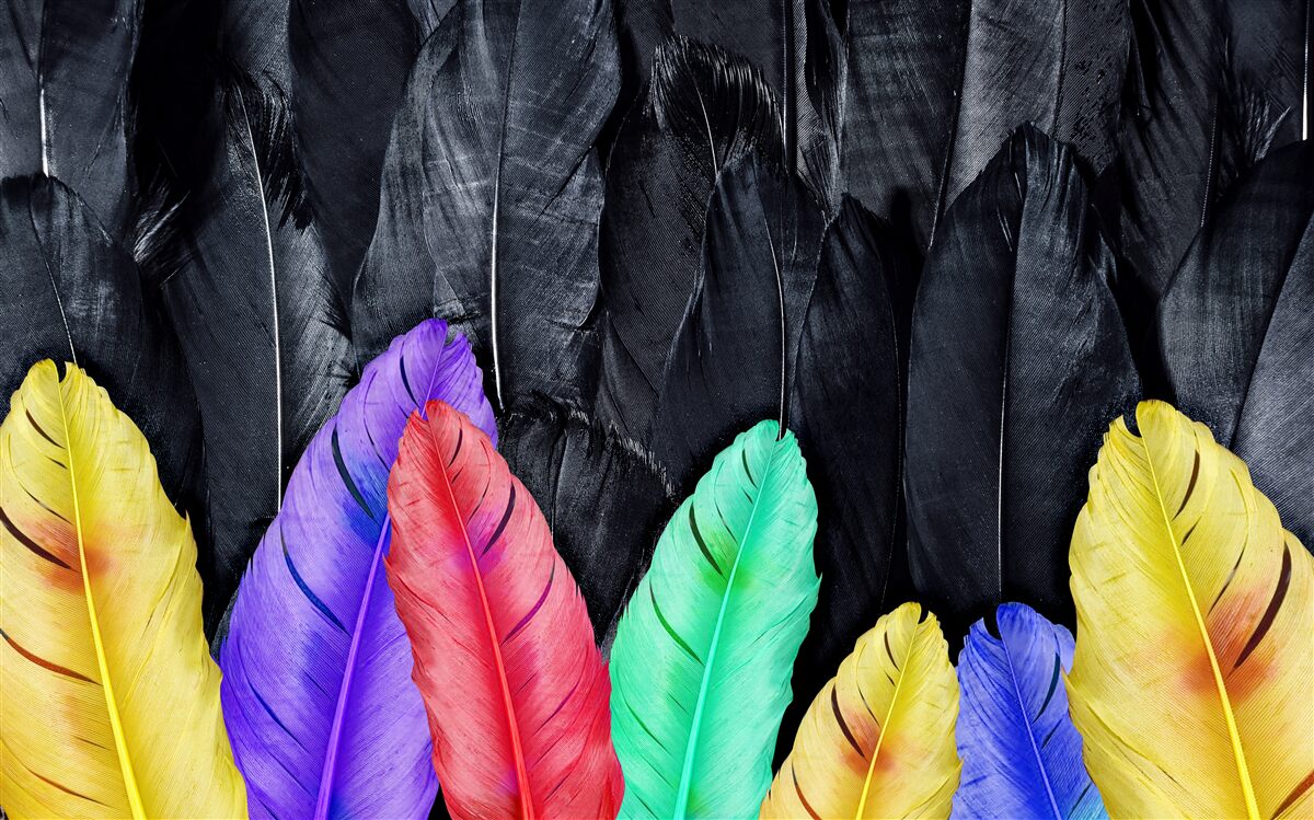 Фотошпалери фон з яскравим великим пір'ям