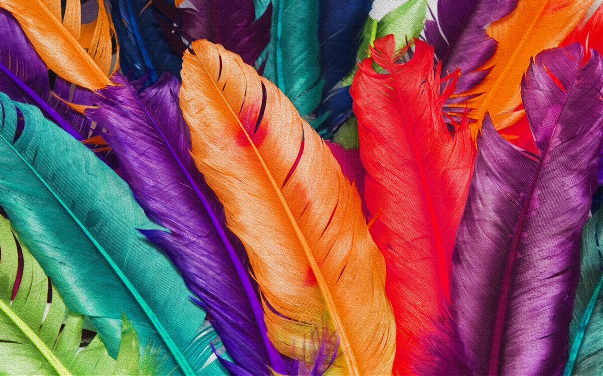 Фотошпалери надзвичайно насичене, глянцеве пір'я