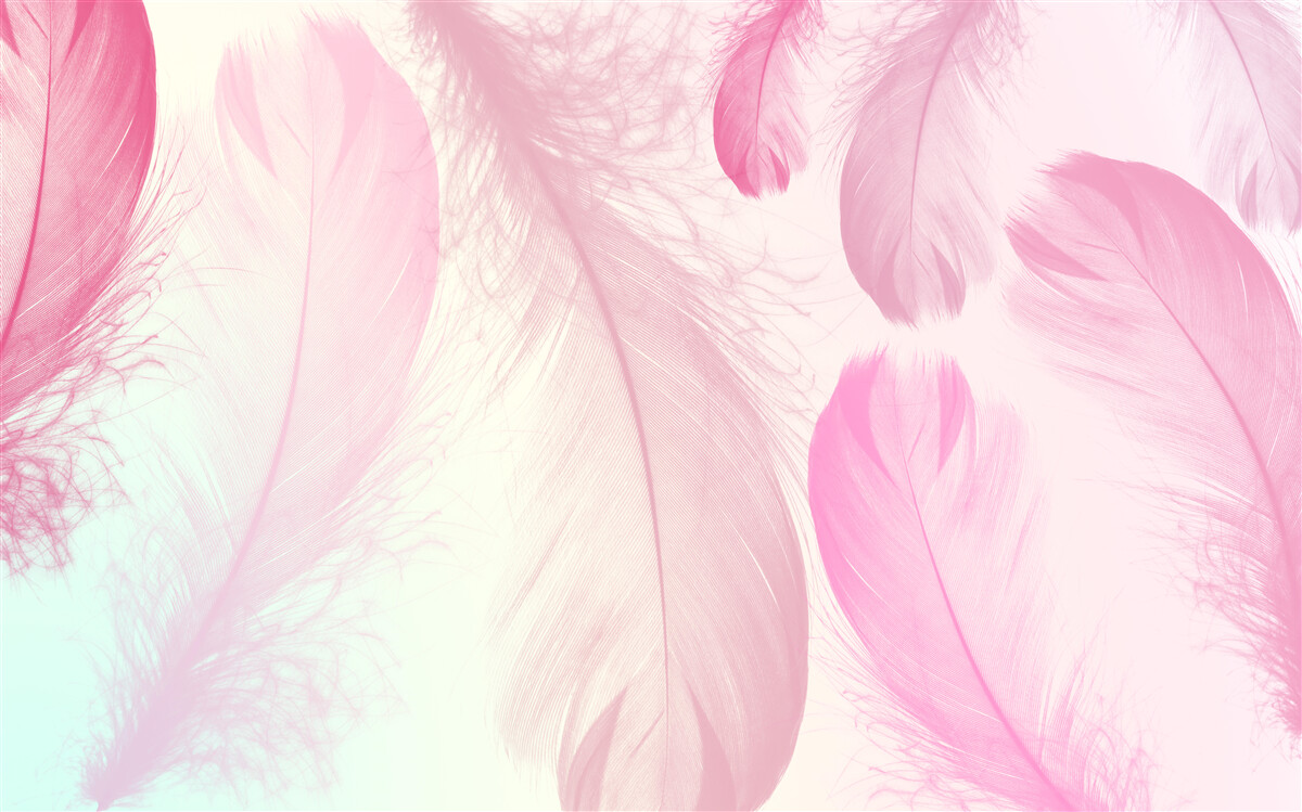 Фотошпалери велике пір'я з ніжним рожевим відтінком