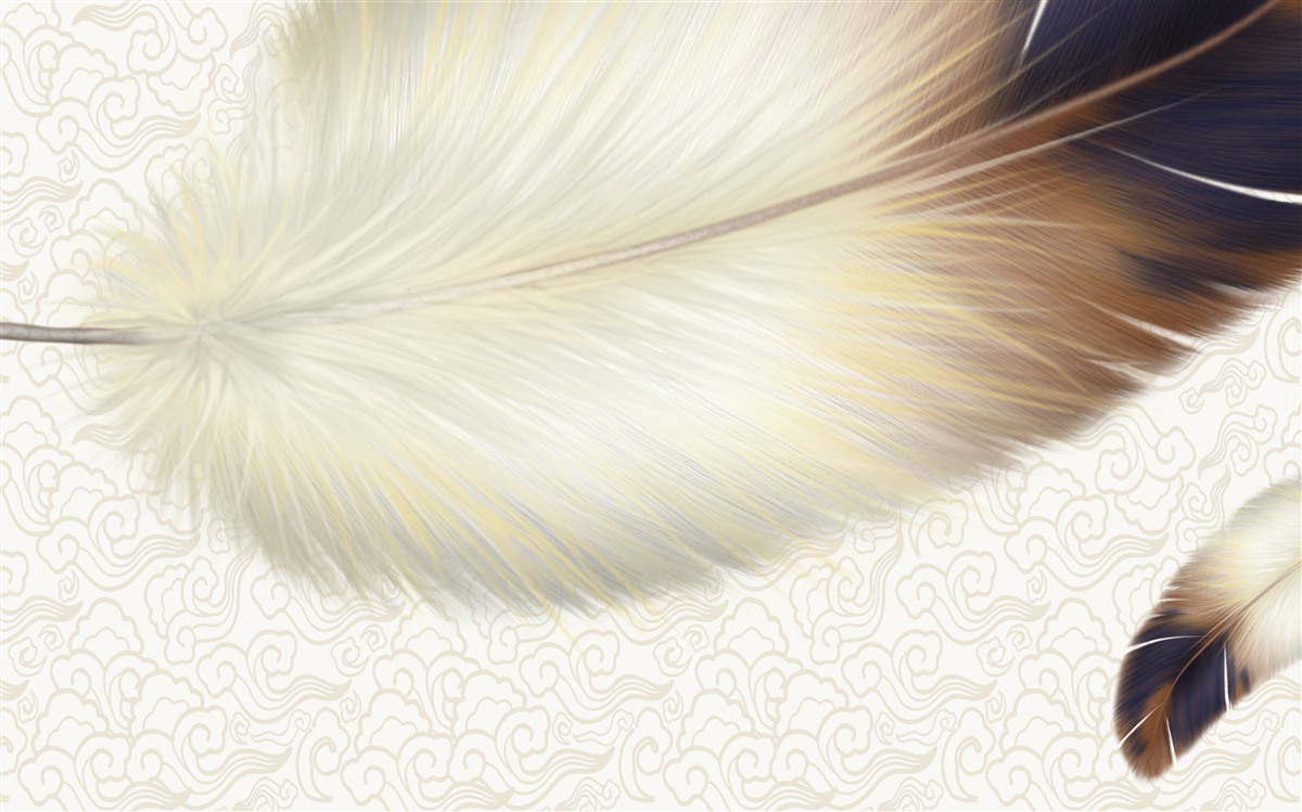 Фотошпалери пір'я біле з коричневими краями