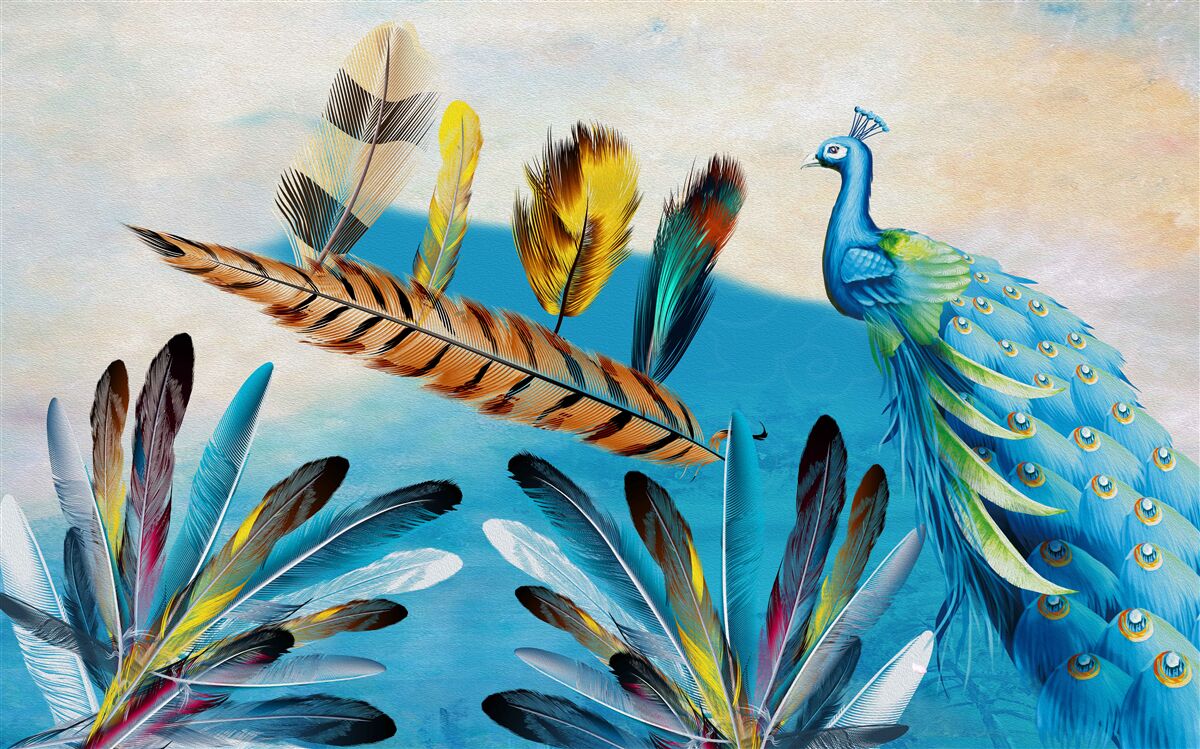 Фотошпалери павине пір'я та його різновиди