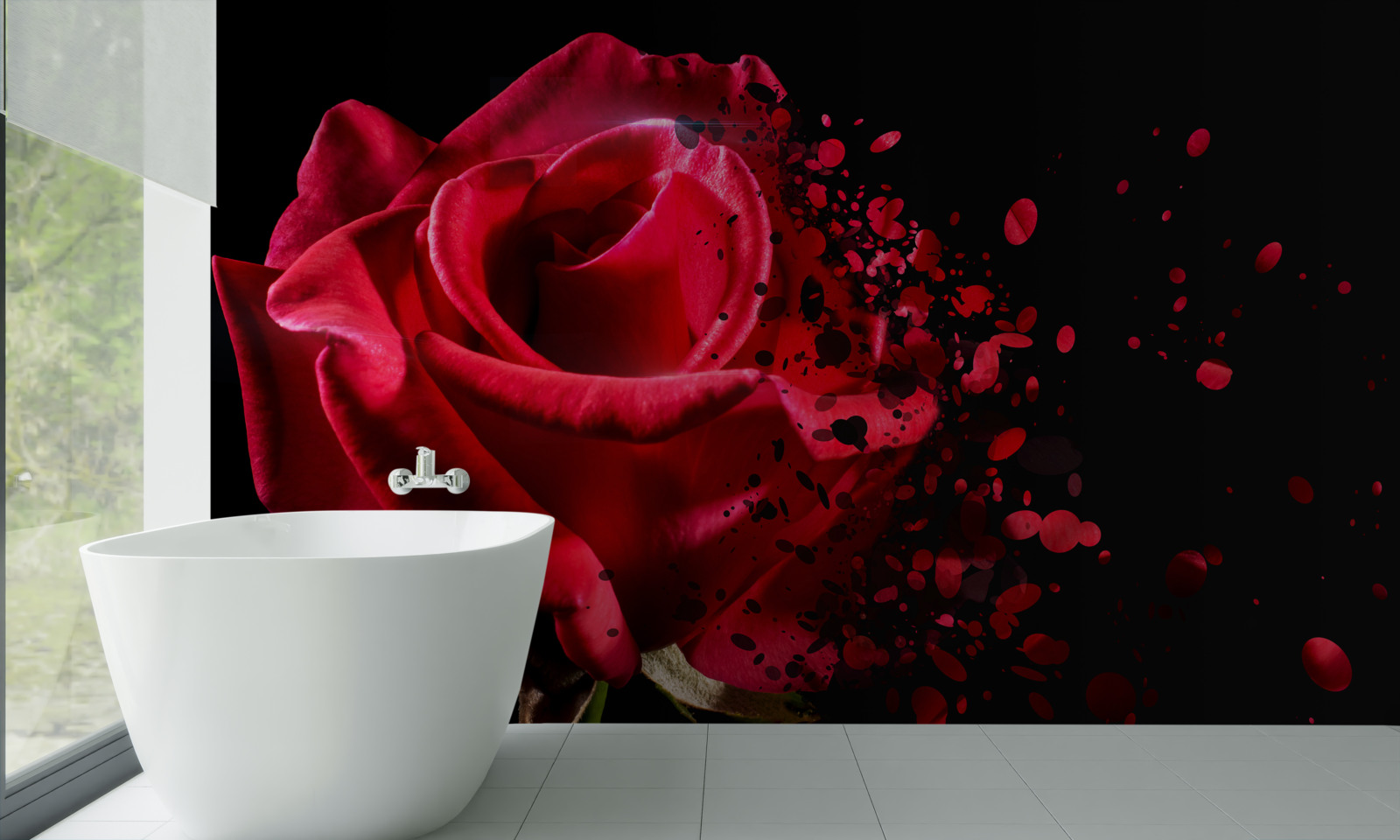 Фотошпалери червона троянда цвіте на чорному тлі
