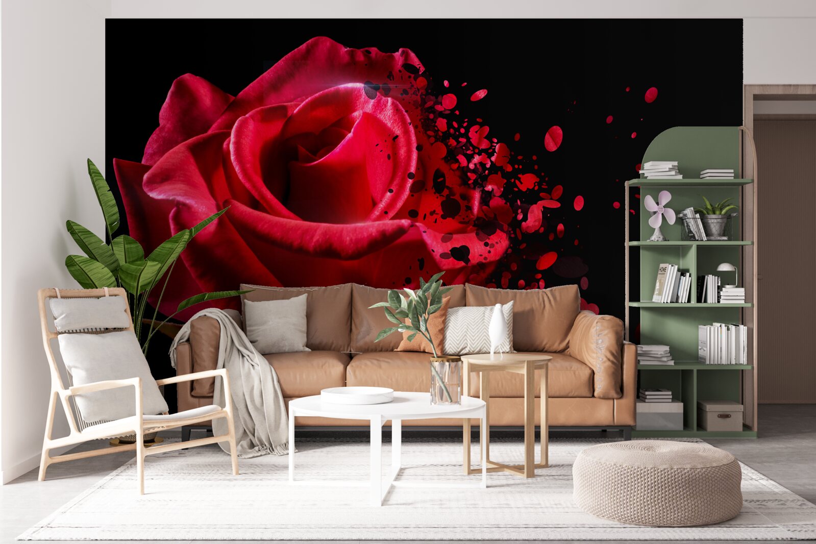 Фотошпалери червона троянда цвіте на чорному тлі