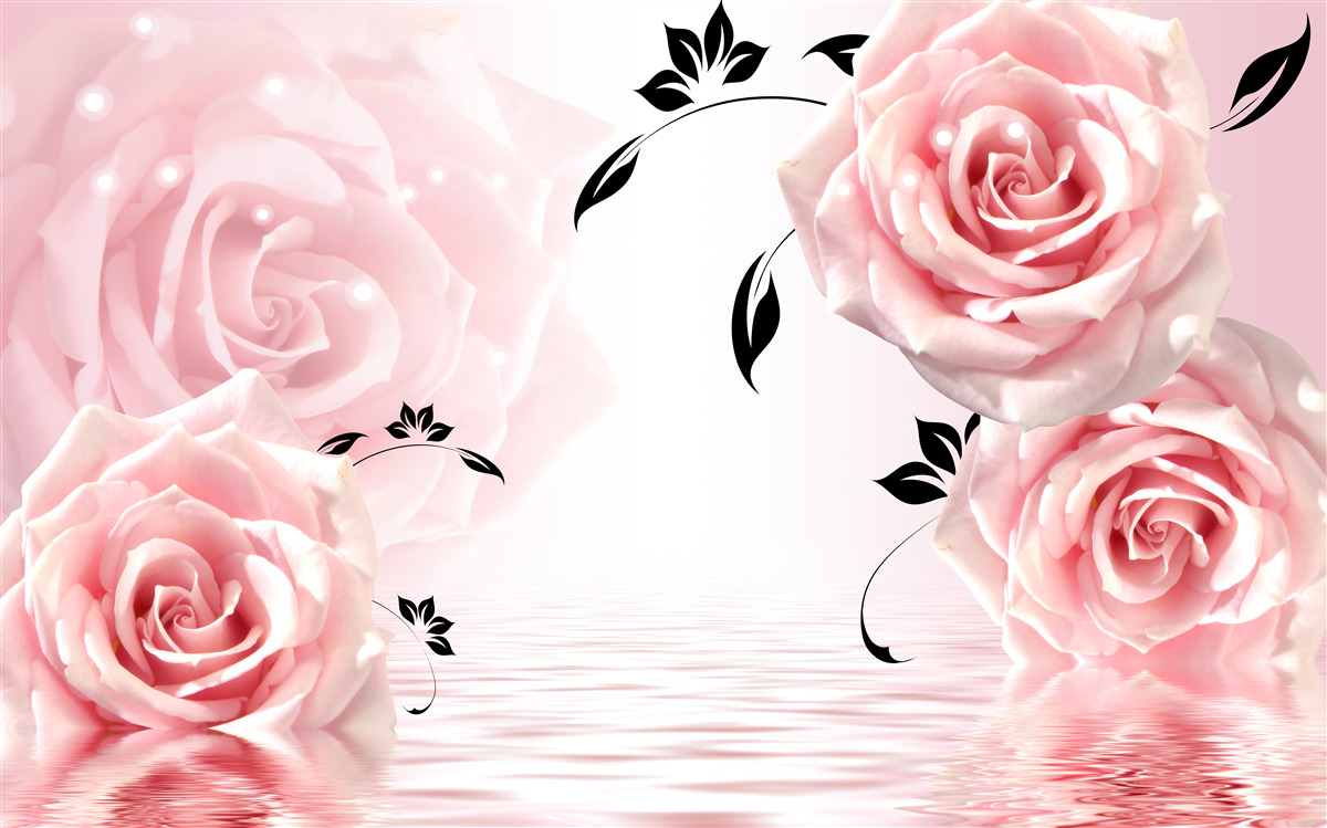 Фотошпалери великі троянди ніжного рожевого відтінку