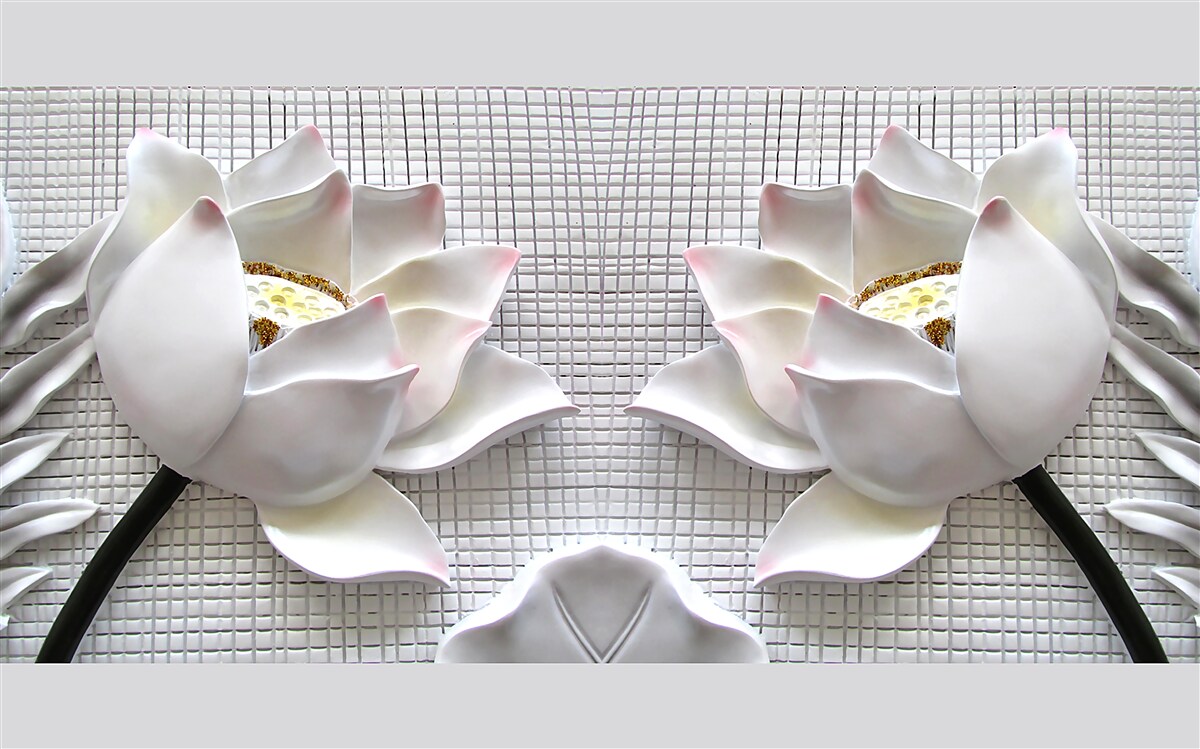 Фотошпалери білі лотосові коробки