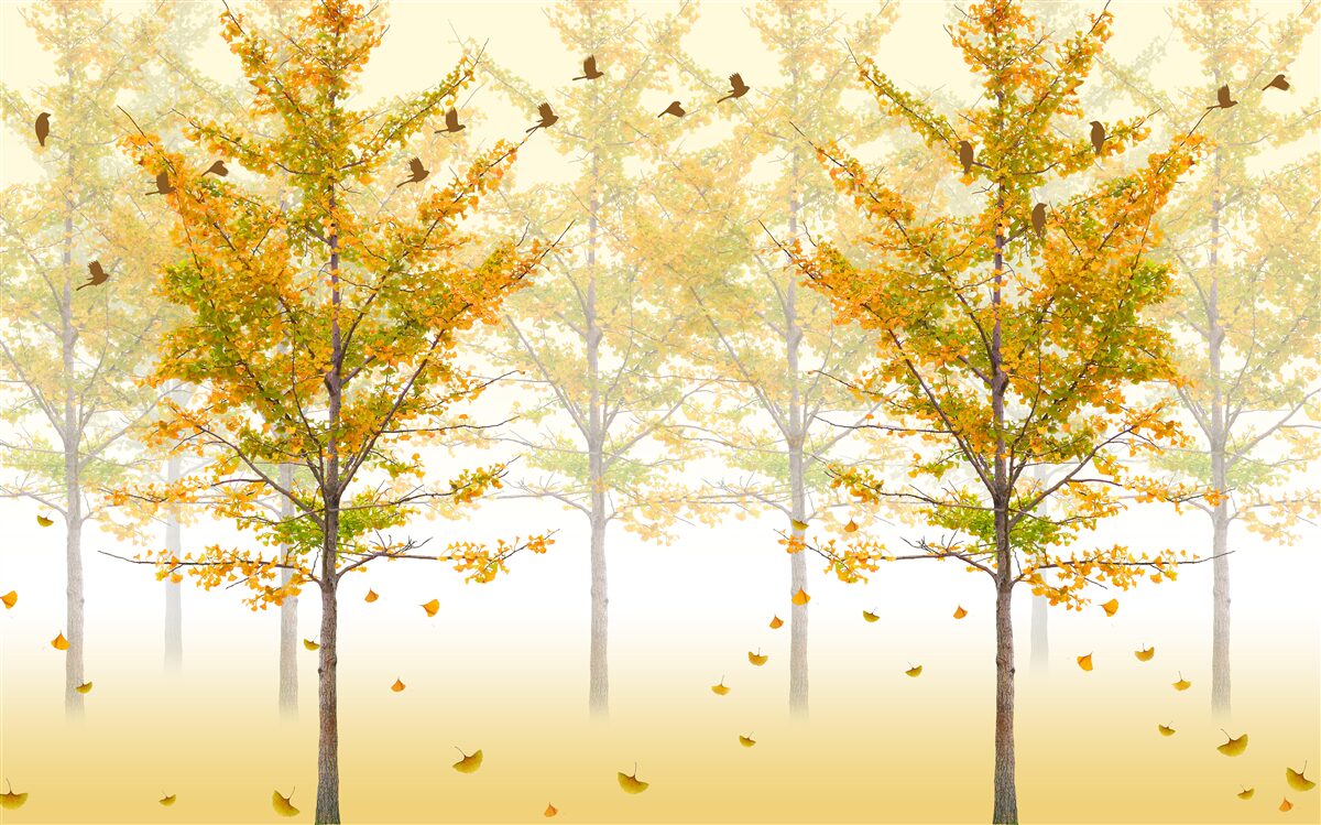 Фотошпалери барви осені в листяному лісі