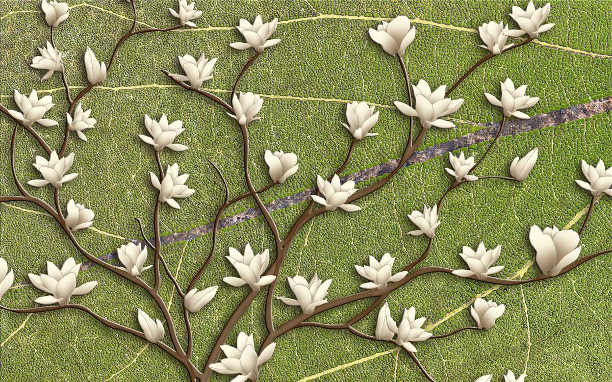 Фотошпалери Білосніжні гілки магнолії на зеленому тлі