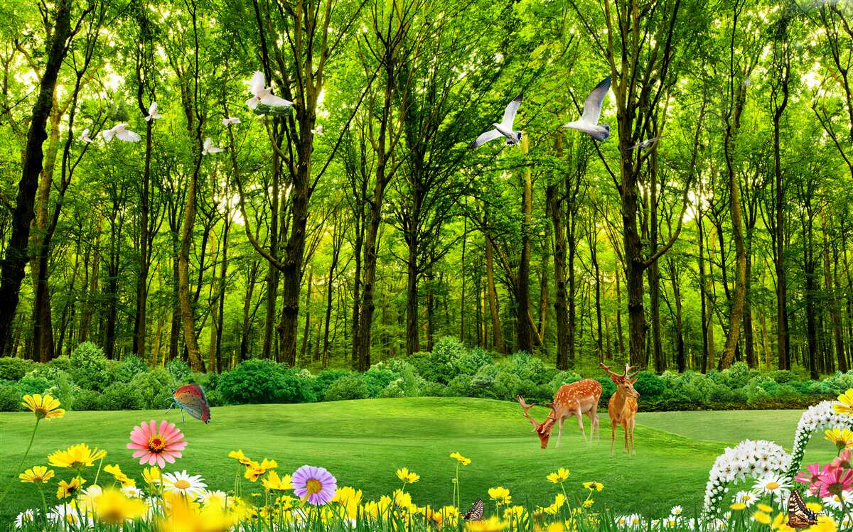 Фотошпалери у зеленому лісі олені вийшли на пасовисько