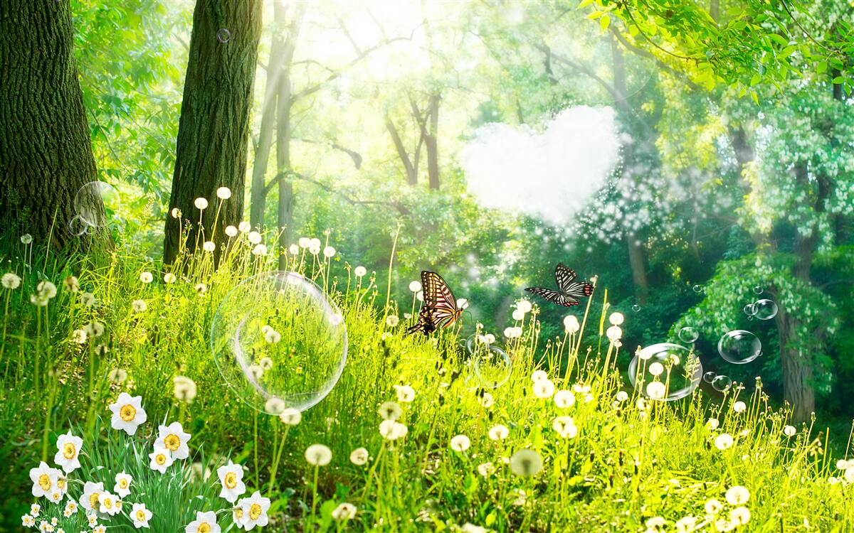 Фотошпалери Метелики на зеленому лузі